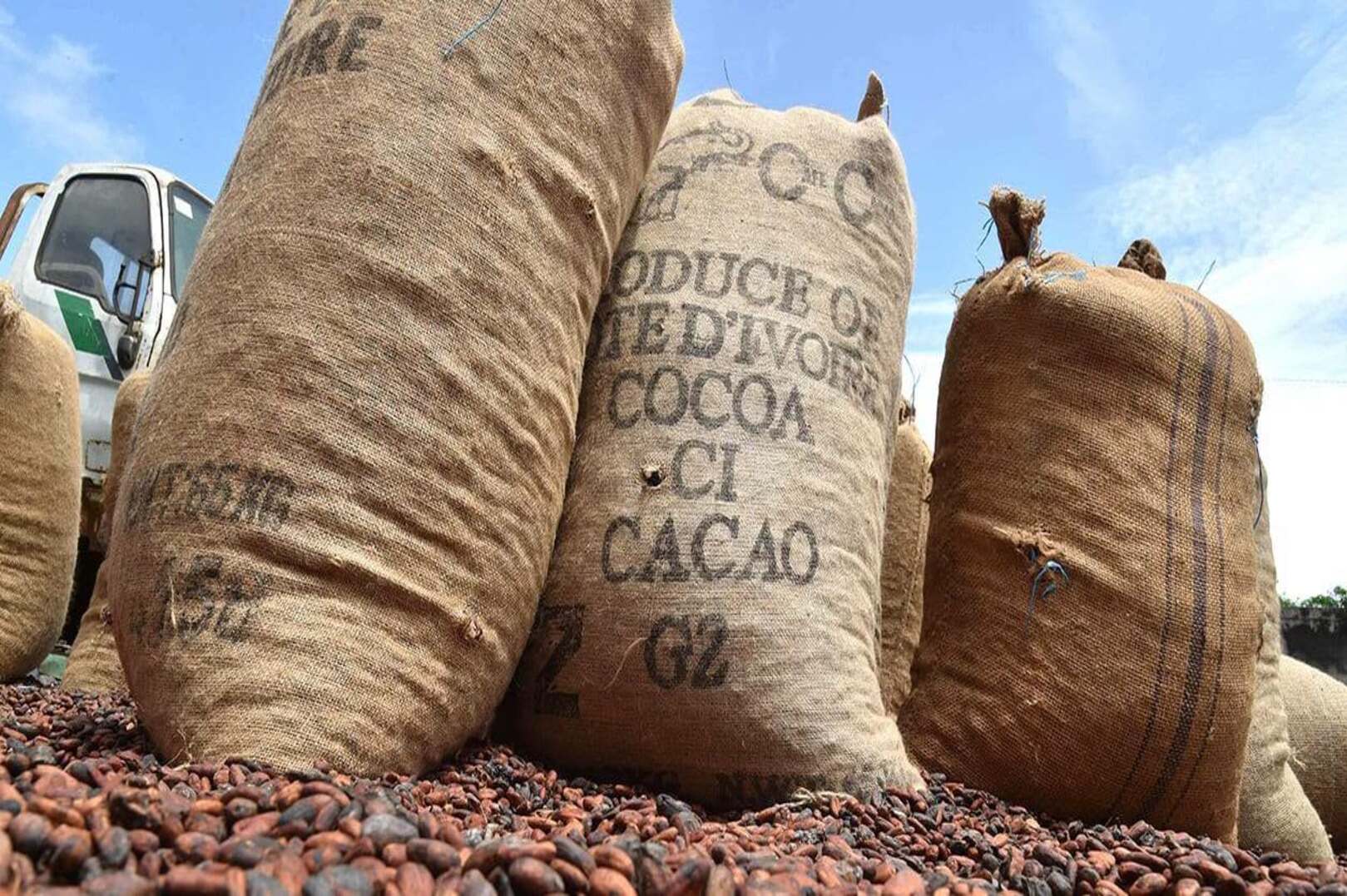 Côte d’Ivoire’s cocoa arrivals rise 20.8% as 2025/26 season nears end